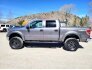 2013 Ford F150 for sale 101720982