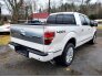 2013 Ford F150 for sale 101724642