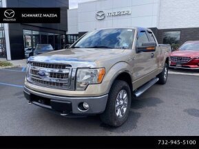 2013 Ford F150 for sale 101726130