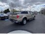 2013 Ford F150 for sale 101726130