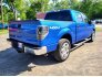2013 Ford F150 for sale 101732183