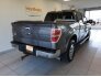 2013 Ford F150 for sale 101732897