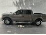 2013 Ford F150 for sale 101741478