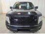 2013 Ford F150 for sale 101743374