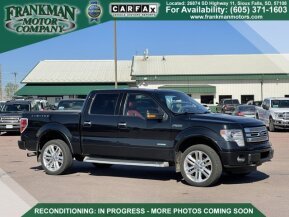 2013 Ford F150 for sale 101744007