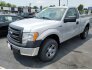 2013 Ford F150 for sale 101745183