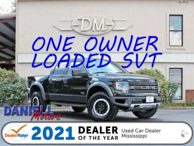 2013 Ford F150 for sale 101747060