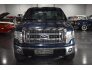 2013 Ford F150 for sale 101751039