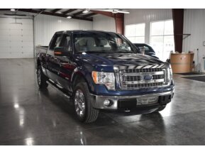 2013 Ford F150 for sale 101751039