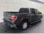 2013 Ford F150 for sale 101753867