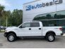 2013 Ford F150 for sale 101754805