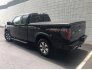2013 Ford F150 for sale 101755690