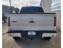 2013 Ford F150 for sale 101760456