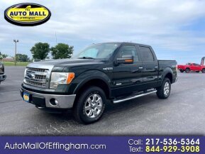 2013 Ford F150 for sale 101774387