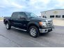 2013 Ford F150 for sale 101774387