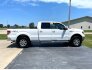 2013 Ford F150 for sale 101774390