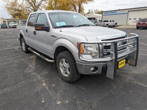 2013 Ford F150 for sale 101775439