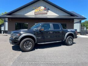 2013 Ford F150 for sale 101775673