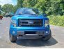 2013 Ford F150 for sale 101776329