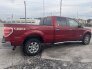 2013 Ford F150 for sale 101776379