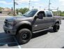 2013 Ford F150 for sale 101776756