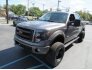 2013 Ford F150 for sale 101776756