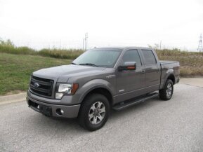 2013 Ford F150 for sale 101781399