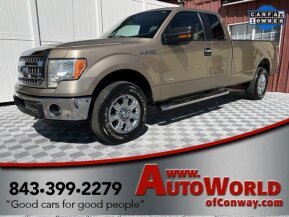 2013 Ford F150 for sale 101782297