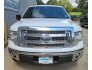 2013 Ford F150 for sale 101786671