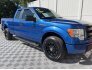 2013 Ford F150 for sale 101791193
