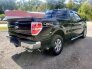 2013 Ford F150 for sale 101792149