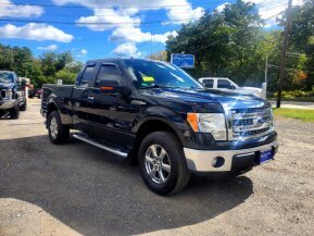 2013 Ford F150 for sale 101792149