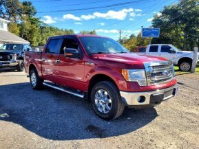 2013 Ford F150 for sale 101795133