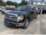 2013 Ford F150 for sale 101795576