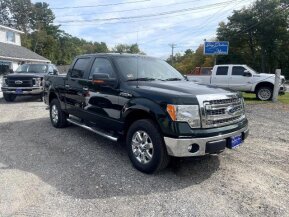 2013 Ford F150 for sale 101795576