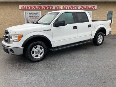 2013 Ford F150 for sale 101812253