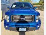 2013 Ford F150 for sale 101816749