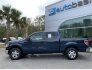 2013 Ford F150 for sale 101816900