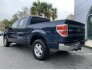 2013 Ford F150 for sale 101816900