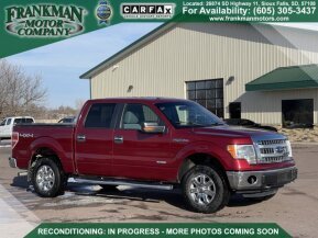 2013 Ford F150 for sale 101823243