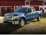 2013 Ford F150 for sale 101836303