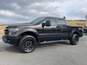 2013 Ford F150 for sale 101862236