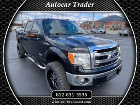 2013 Ford F150 for sale 101864902