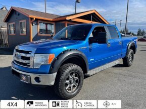 2013 Ford F150 for sale 101869610