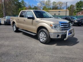 2013 Ford F150 for sale 101885183