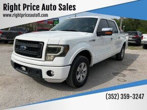 2013 Ford F150 for sale 101877336