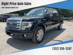 2013 Ford F150 for sale 101879660