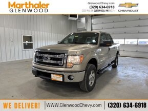 2013 Ford F150 for sale 101880385