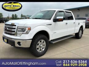 2013 Ford F150 for sale 101883869