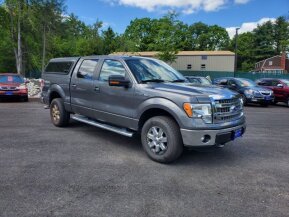 2013 Ford F150 for sale 101892871